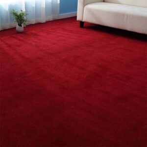 Red wall to wall carpets